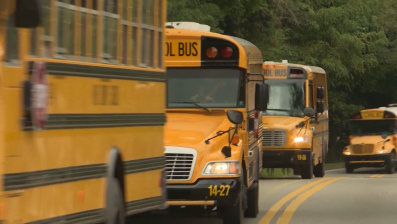 Picture of Yellow School Buses